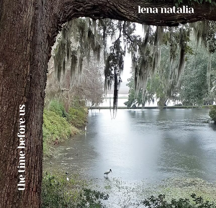 Serene pond with moss-draped tree branches and white birds wading.